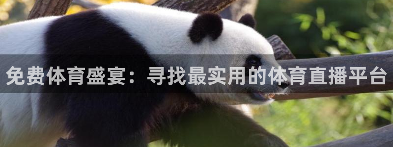 松鼠直播下载