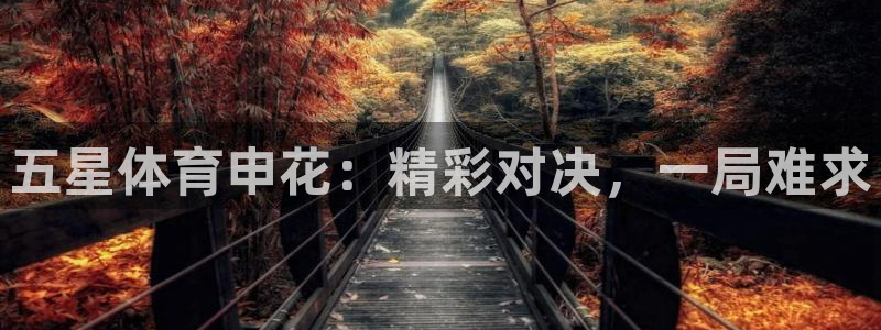 松鼠直播tv
