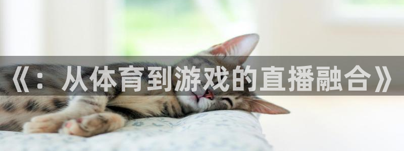 松鼠直播体育免费