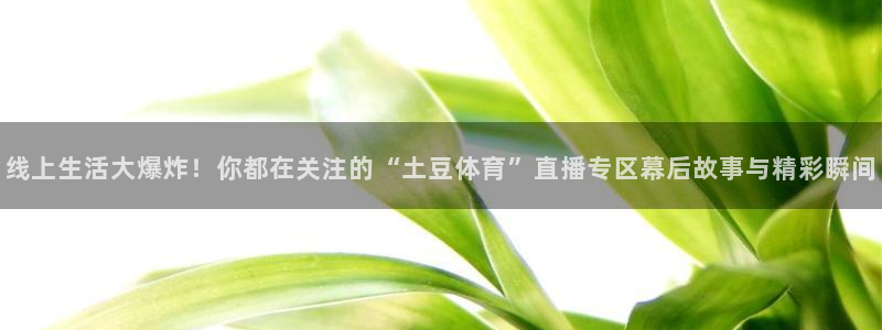 体育新闻