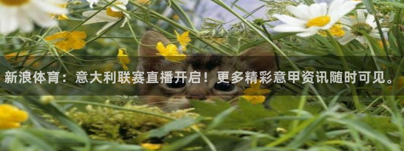 体育新闻